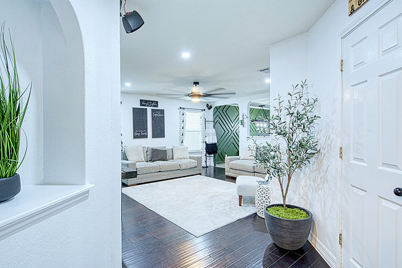 11711 Basil Grass (006)